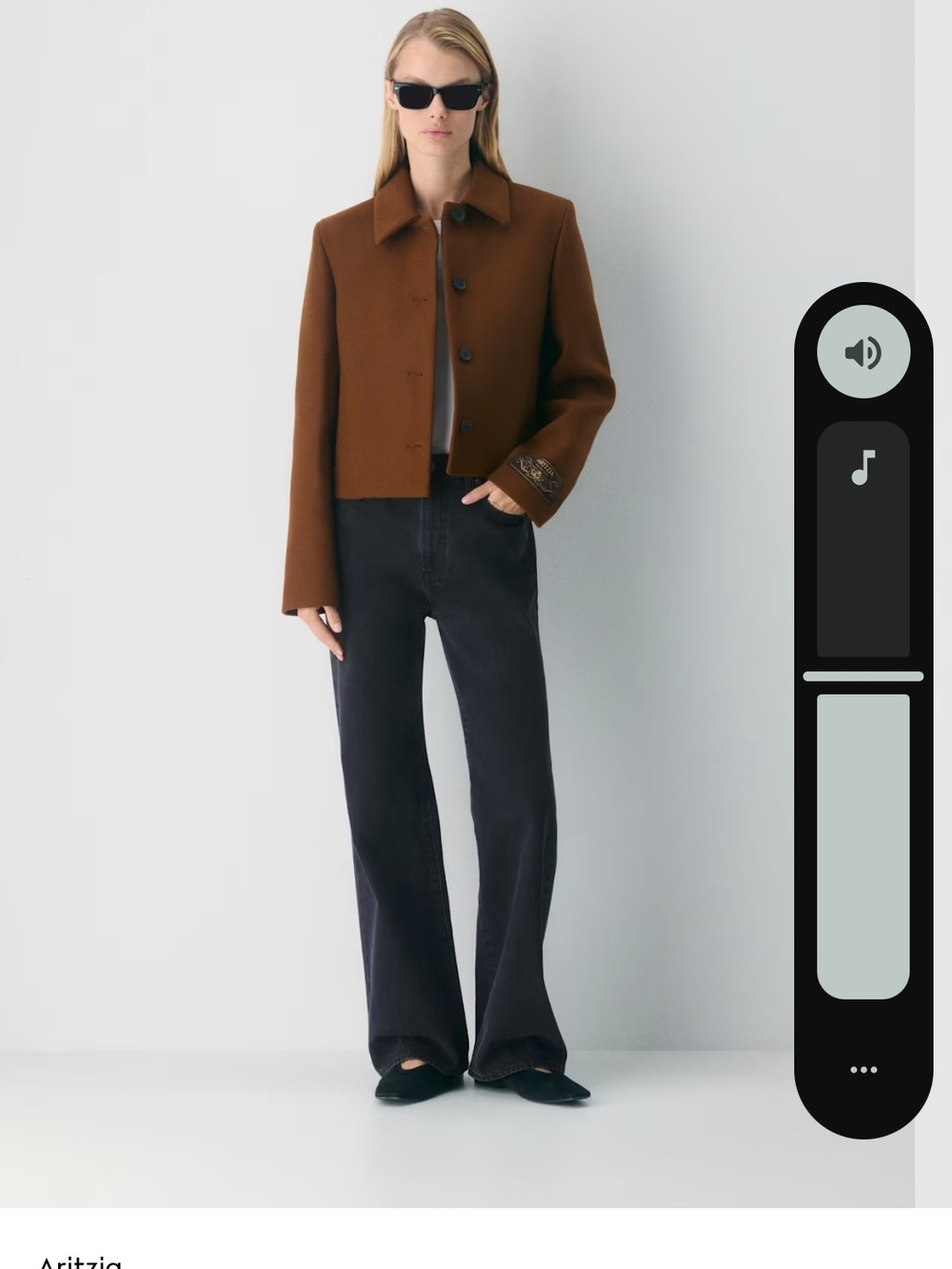 Aritzia The Dove Coat - Picture 2 of 10